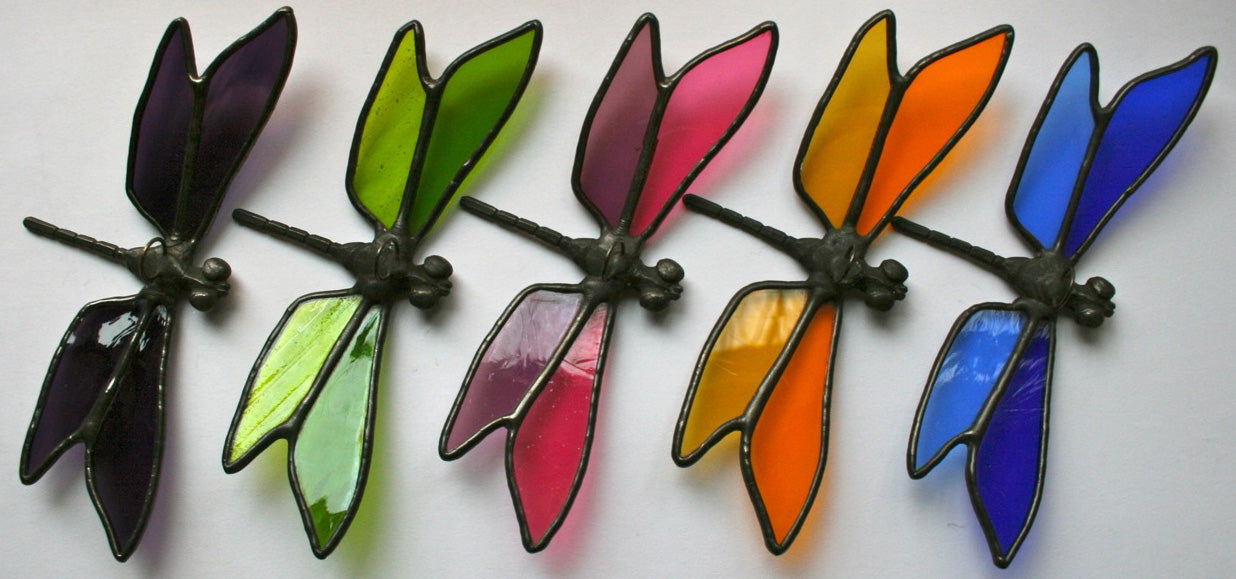 Dragonflies Make and Take 3hr Workshop