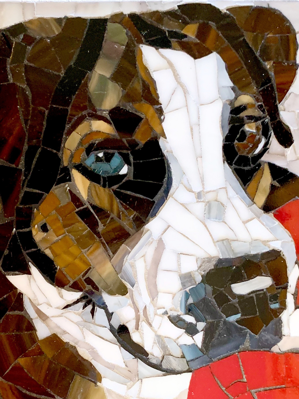 Pet Portraits - Stained Glass Mosaics -  2 x 5hr sessions