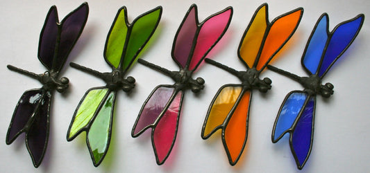 Dragonflies Workshop- Saturday, Morning or Afternoon or Sunday Afternoon